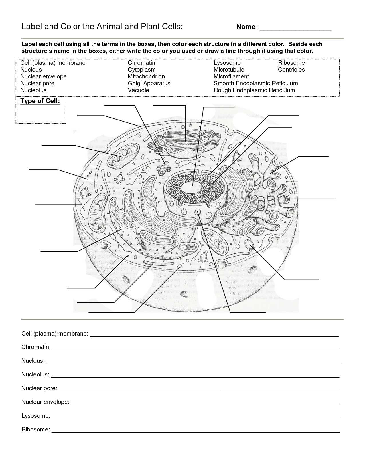 Circles Worksheet Answers Also Free Worksheets Library Download and Print Worksheets