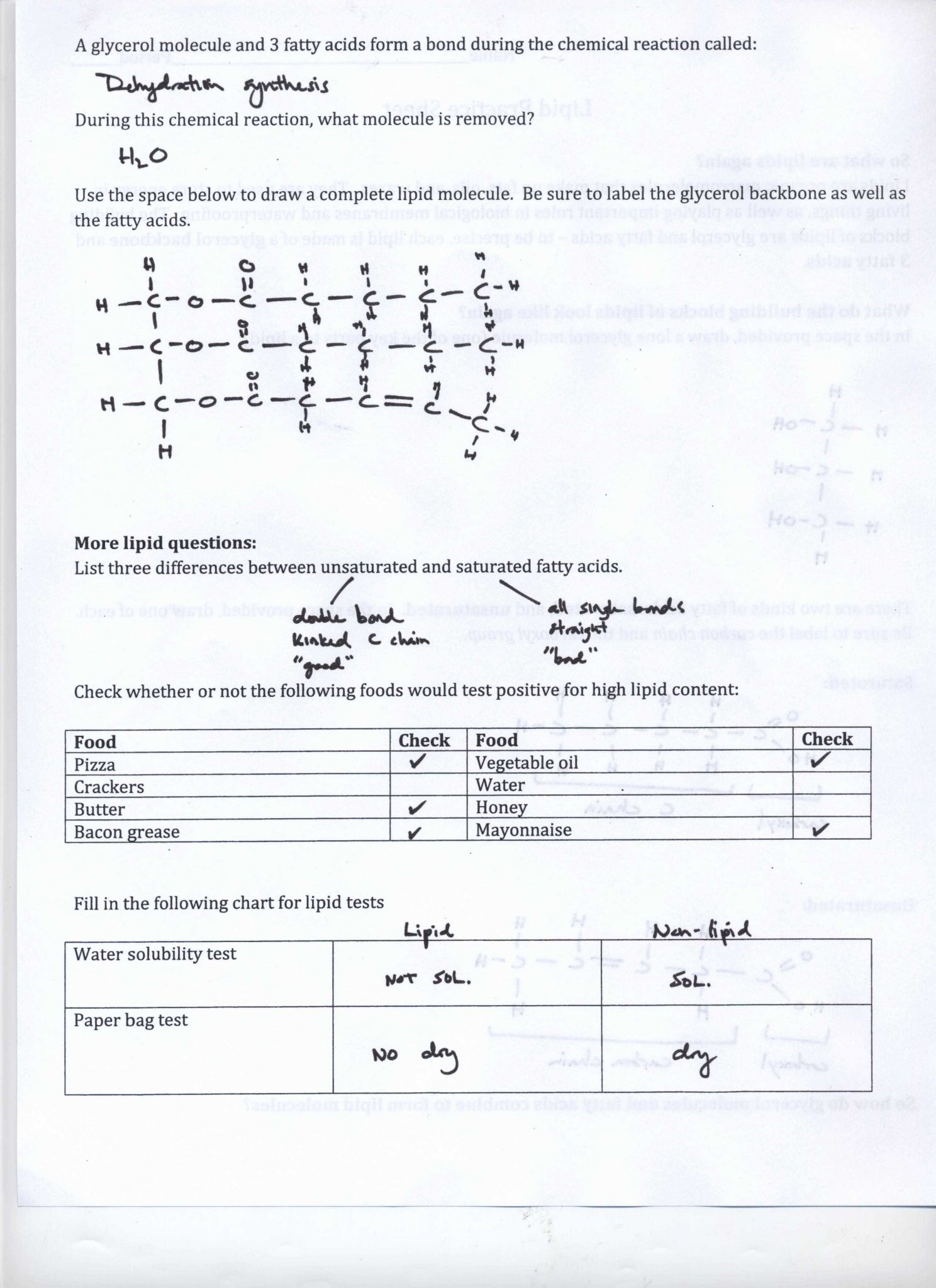 Classification Of Chemical Reactions Worksheet or Types Chemical Bonds Worksheet Types Chemical Reactions Worksheet