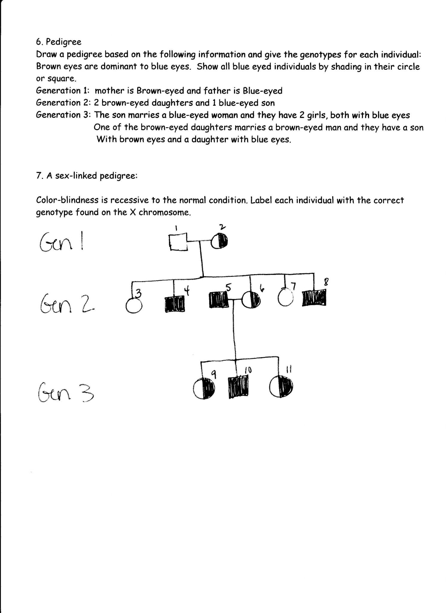 Codominance Incomplete Dominance Worksheet Answers Along with Genetics Pedigree Worksheet Answers Choice Image Worksheet for