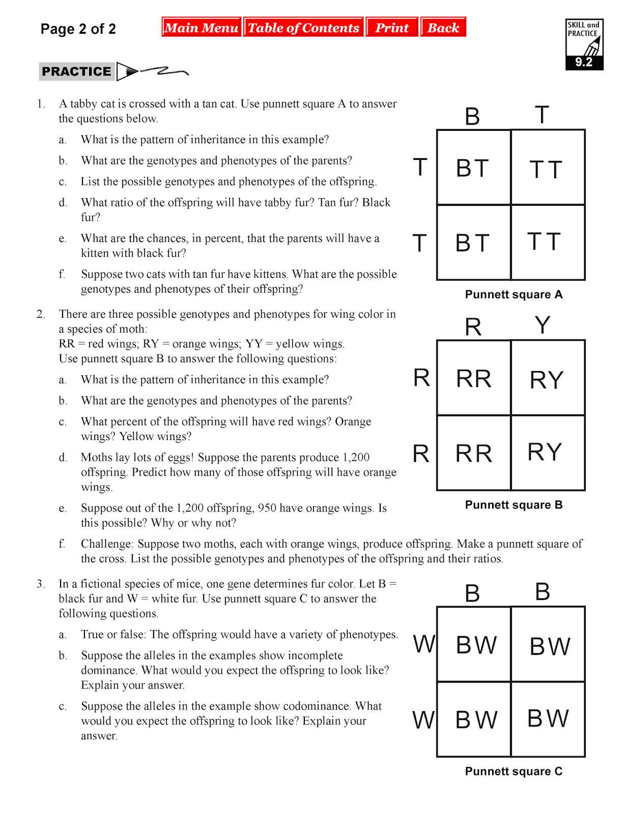 Codominance Worksheet Blood Types Along with 41 Codominance Worksheet Blood Types Answers 16 Best