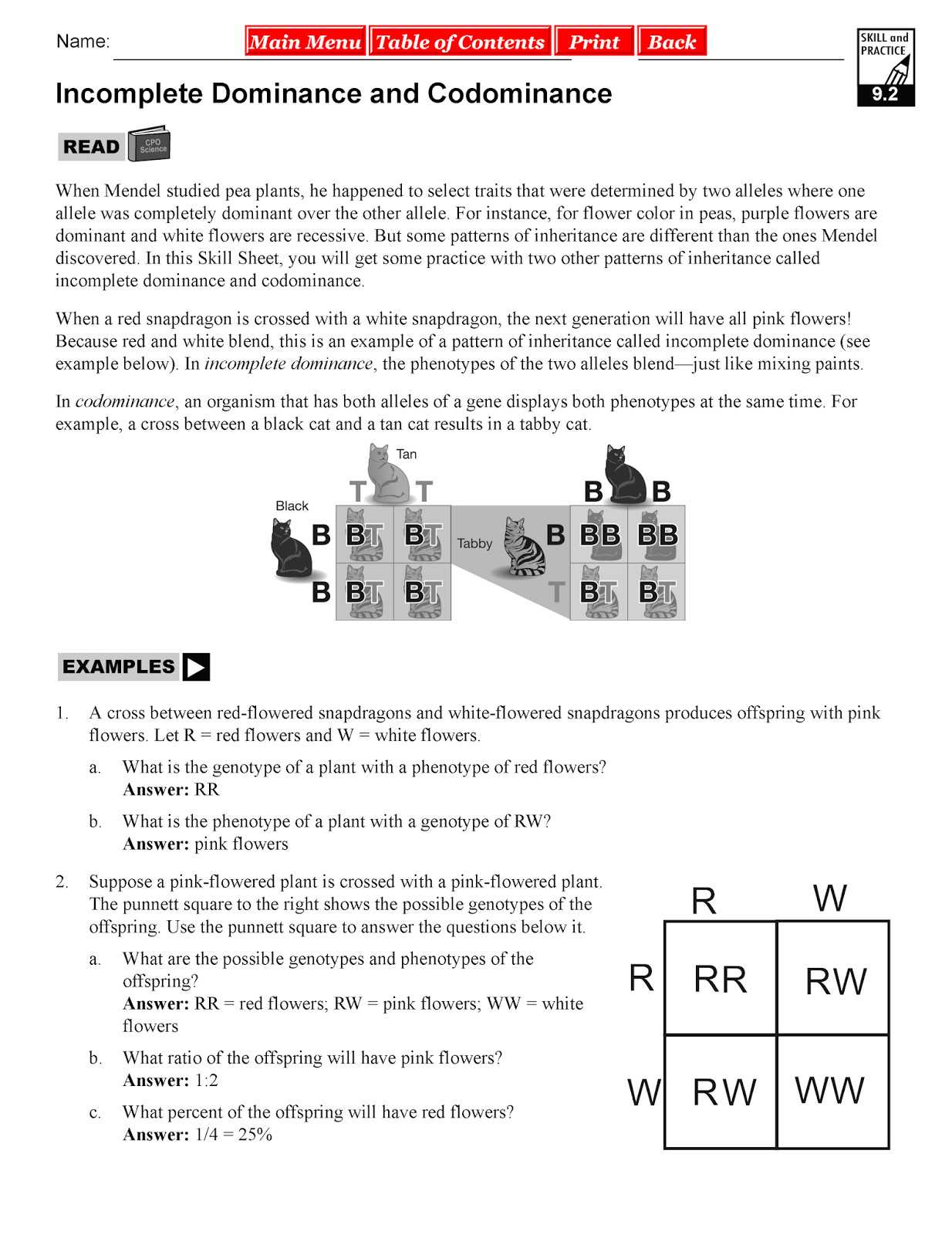 Codominance Worksheet Blood Types Along with In Plete Dominance and Codominance Worksheet Answer Key Best