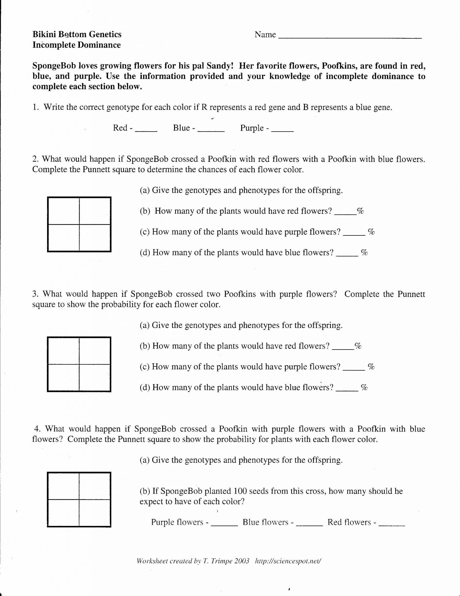 Codominance Worksheet Blood Types and In Plete and Codominance Worksheet Genetics Practice Problems