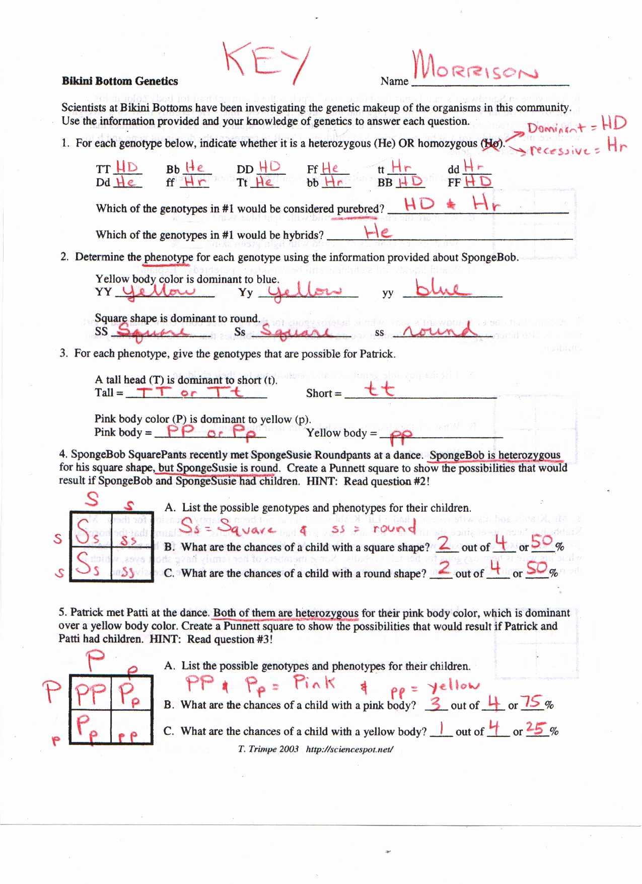 Codominance Worksheet Blood Types and In Plete and Codominance Worksheet Genetics Practice Problems