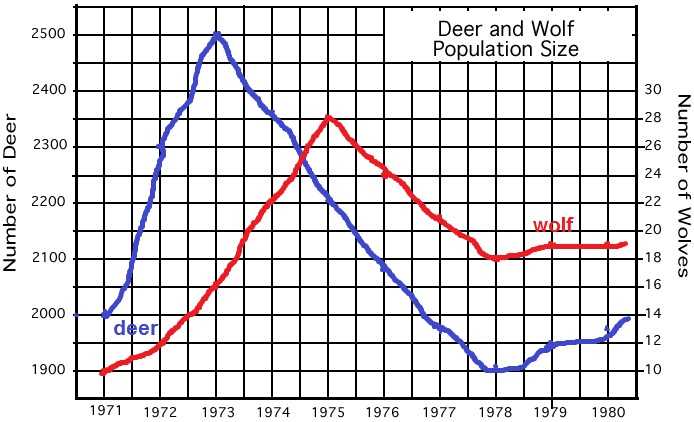 Darwin's Natural Selection Worksheet Answer Key and Deer Predation or Starvation