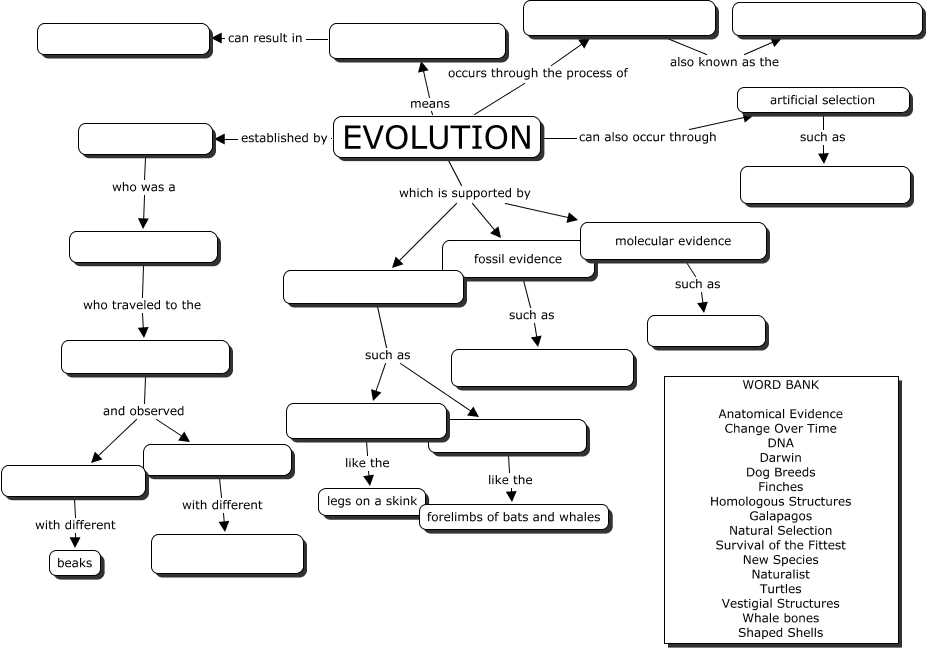Darwin's Natural Selection Worksheet Answer Key with Evolution Concept Map