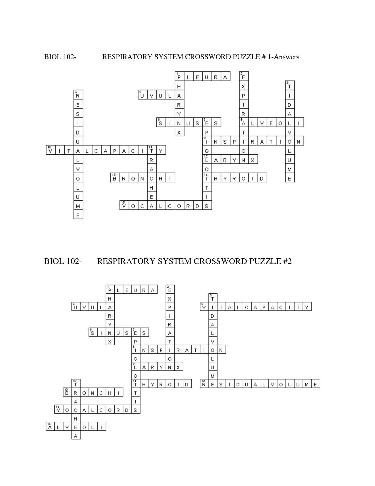 Digestive System Worksheet Answers or Digestive System Crossword Puzzle Pdf High Resolution