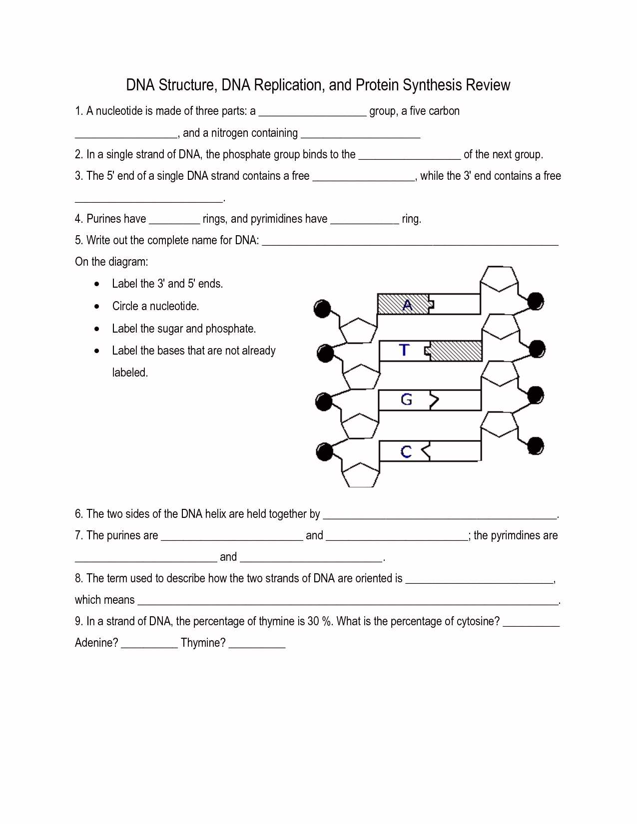 Dna Replication Coloring Worksheet Answer Key Along with Dna Coloring Transcription and Translation Answer Key Inspirational