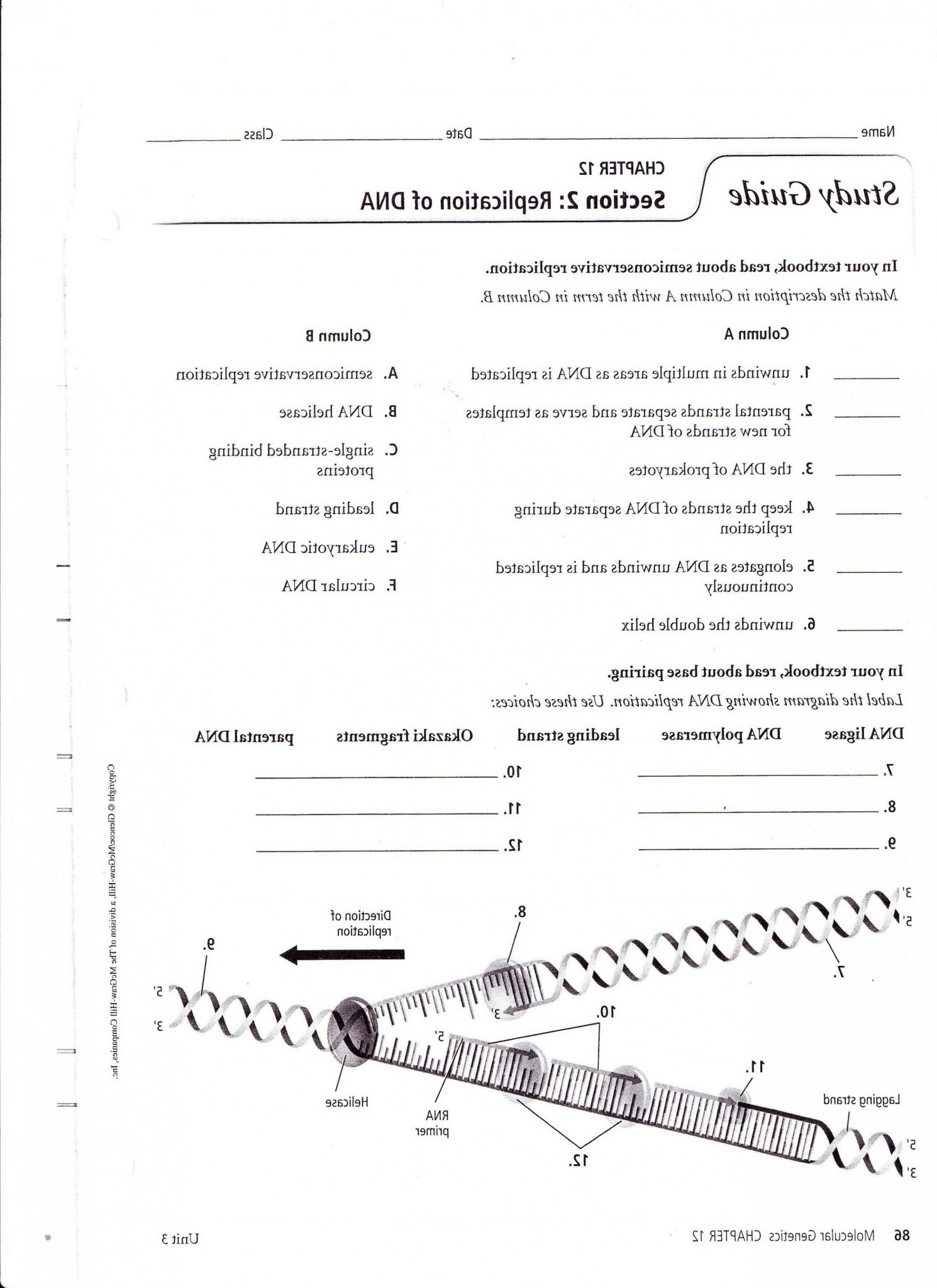 Dna Replication Worksheet Pdf as Well as 25 Unique Dna Structure Worksheet Answers