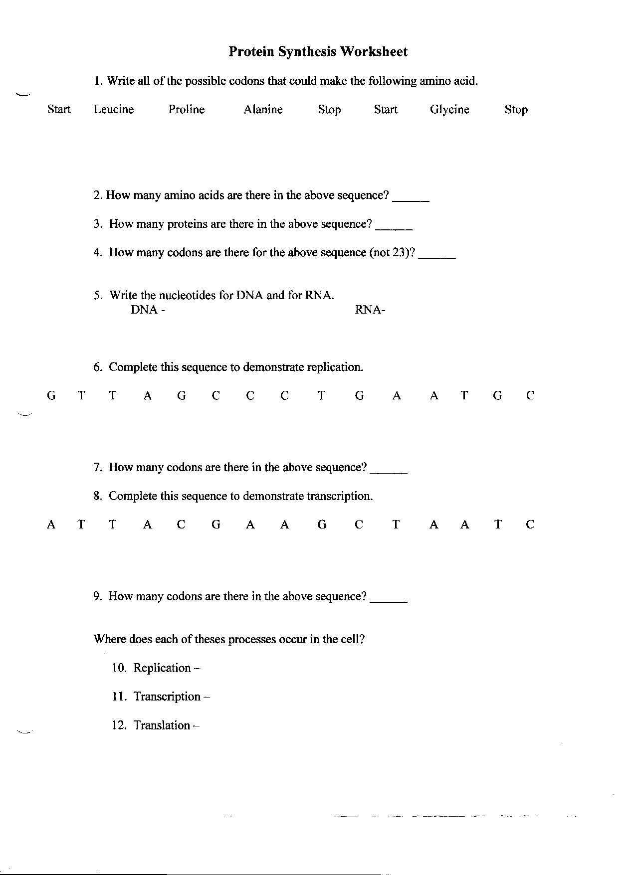 Dna Replication Worksheet Pdf with 37 Luxury Dna Rna and Protein Synthesis Worksheet Answer Key