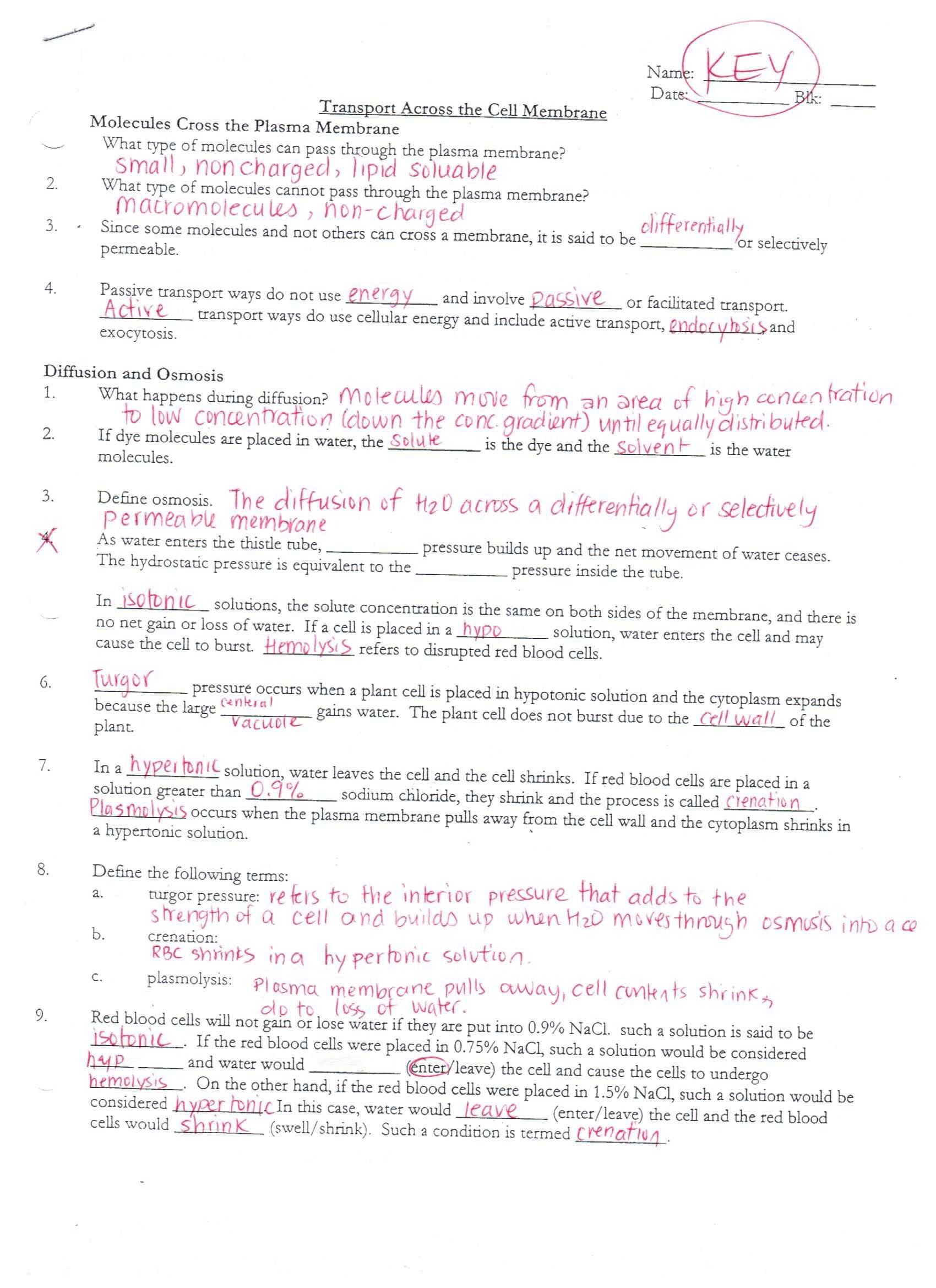 Dna Structure Worksheet Answer Key Also 1 with Cell Membrane Coloring Worksheet Coloring Pages