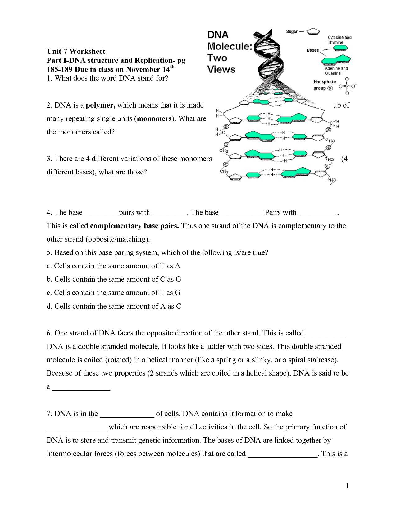Dna Structure Worksheet Answer Key with Luxury Free Grammar Worksheets with Answers Dangling Modifiers