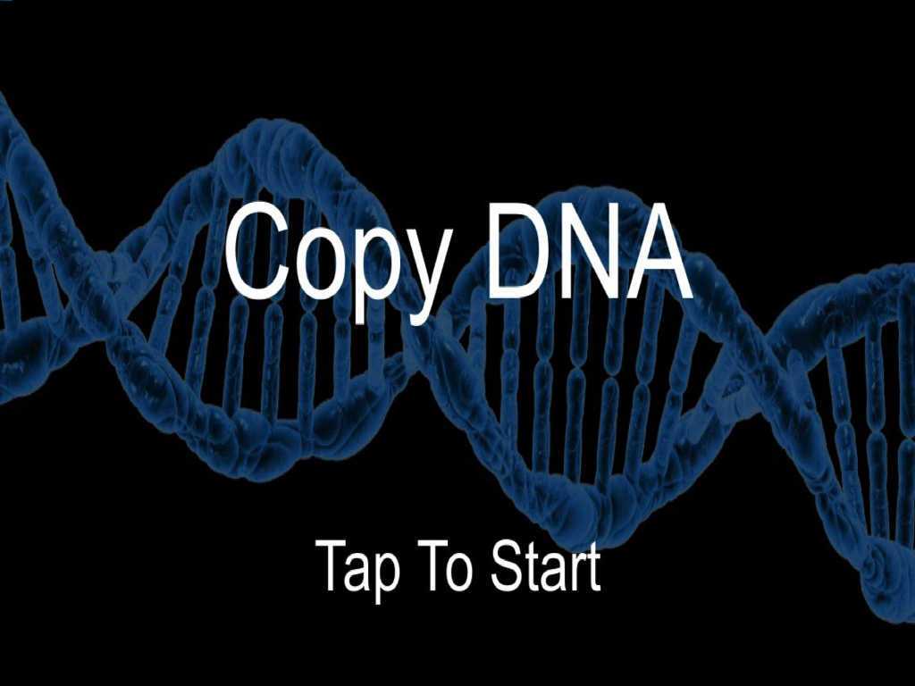 Dna the Double Helix Worksheet Answers and App Shopper Copy Dna Games