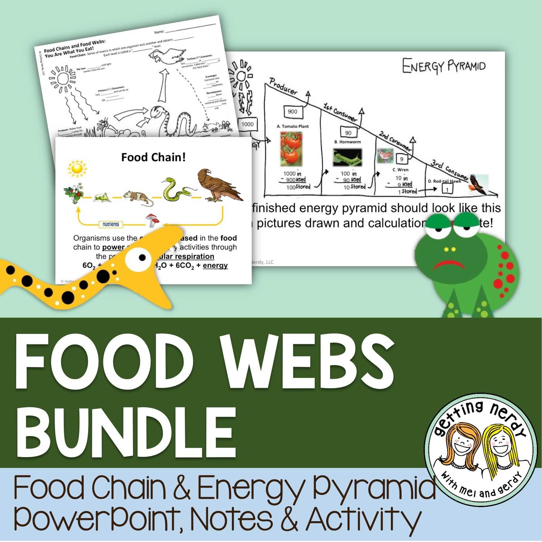 Energy Worksheet Answers Along with Food Chains Food Webs and Energy Pyramids Pinterest