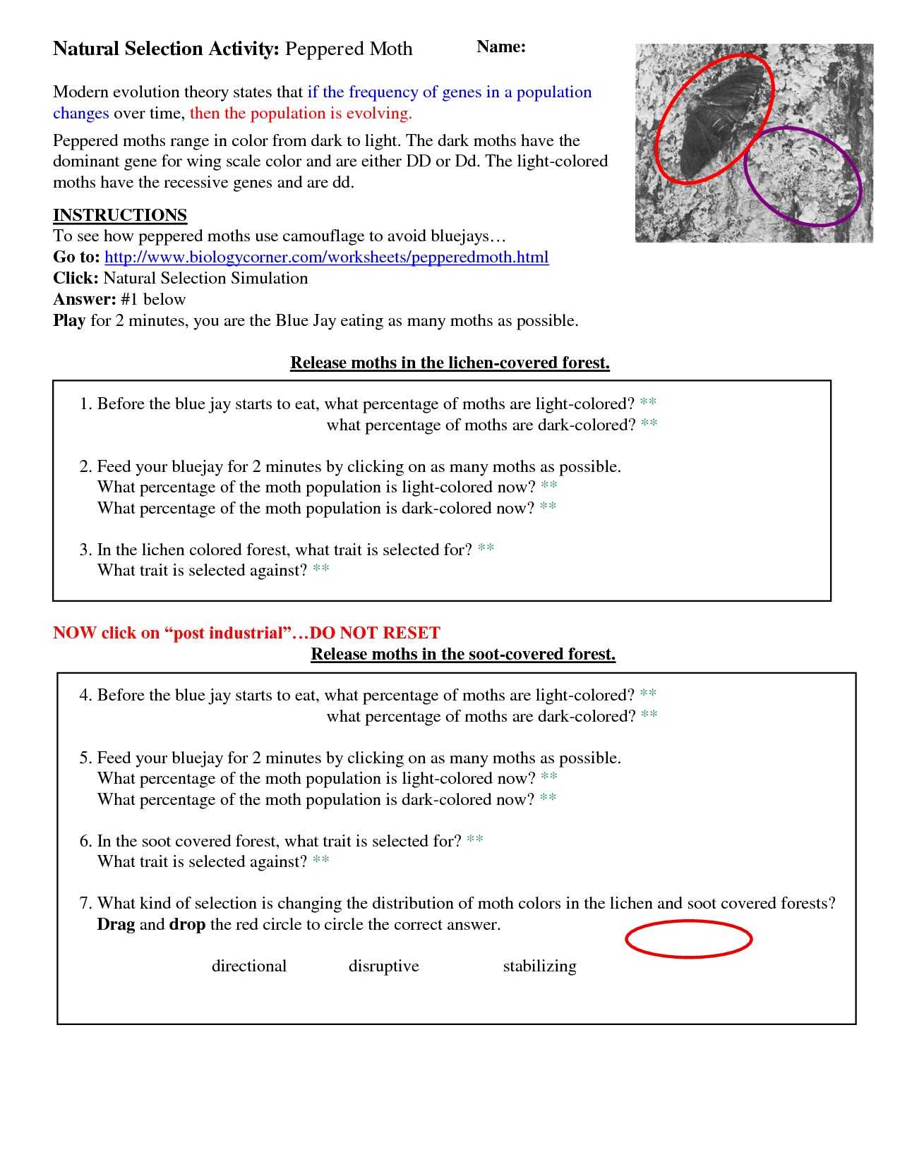 Evolution by Natural Selection Worksheet or Peppered Moth Simulation Worksheet Answers Image Collections