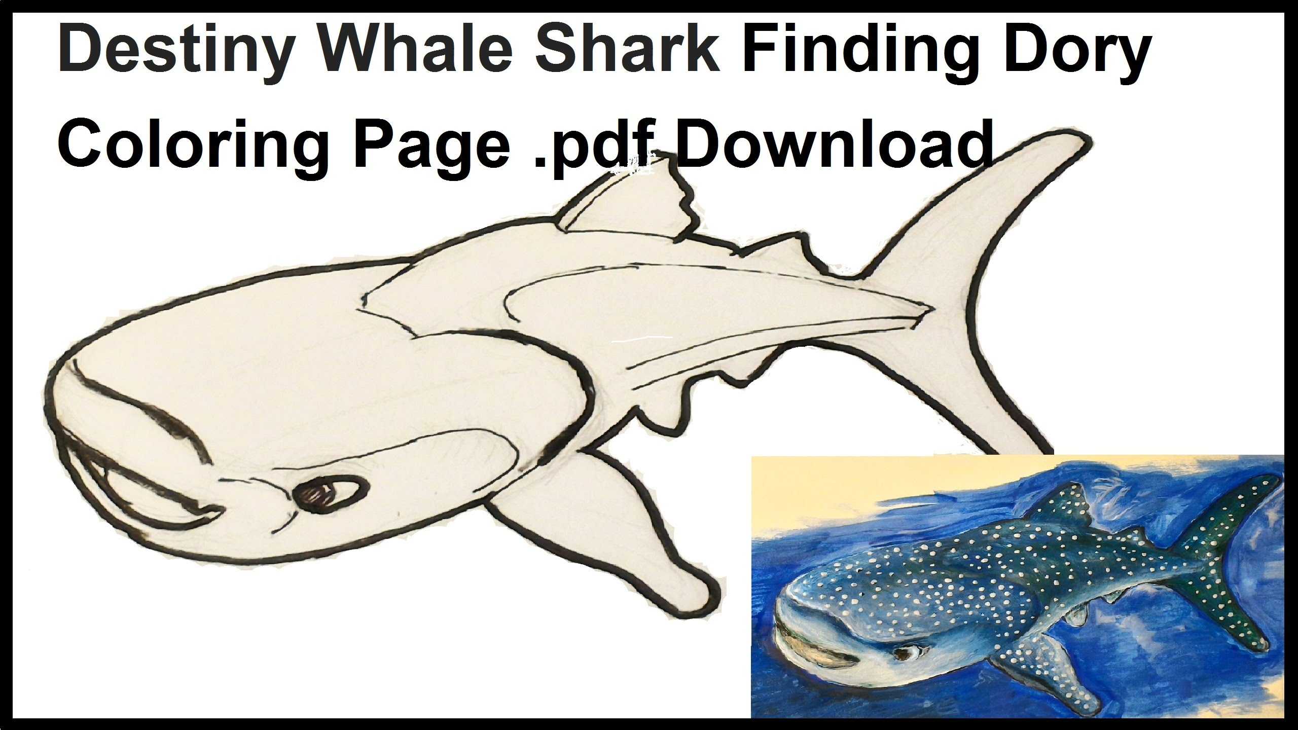 Finding Nemo Worksheet as Well as Whale Shark Coloring Pages