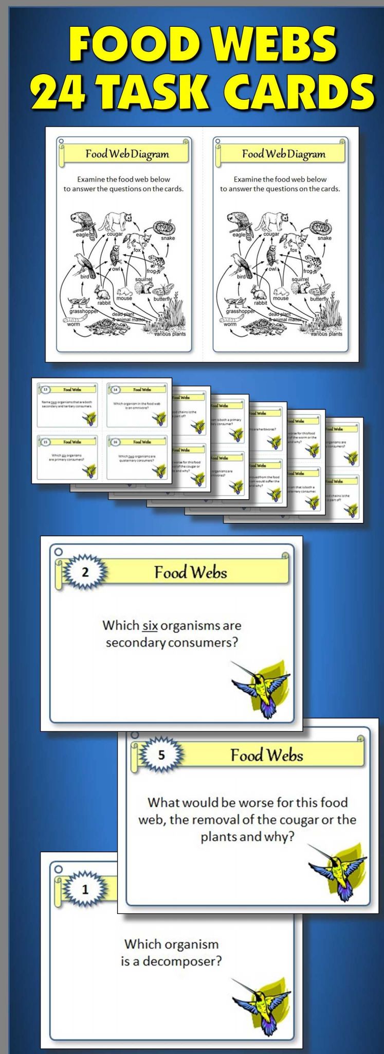Food Chains and Webs Worksheet or Food Web Worksheet Grade 4 Inspirationa Food Webs Task Cards with