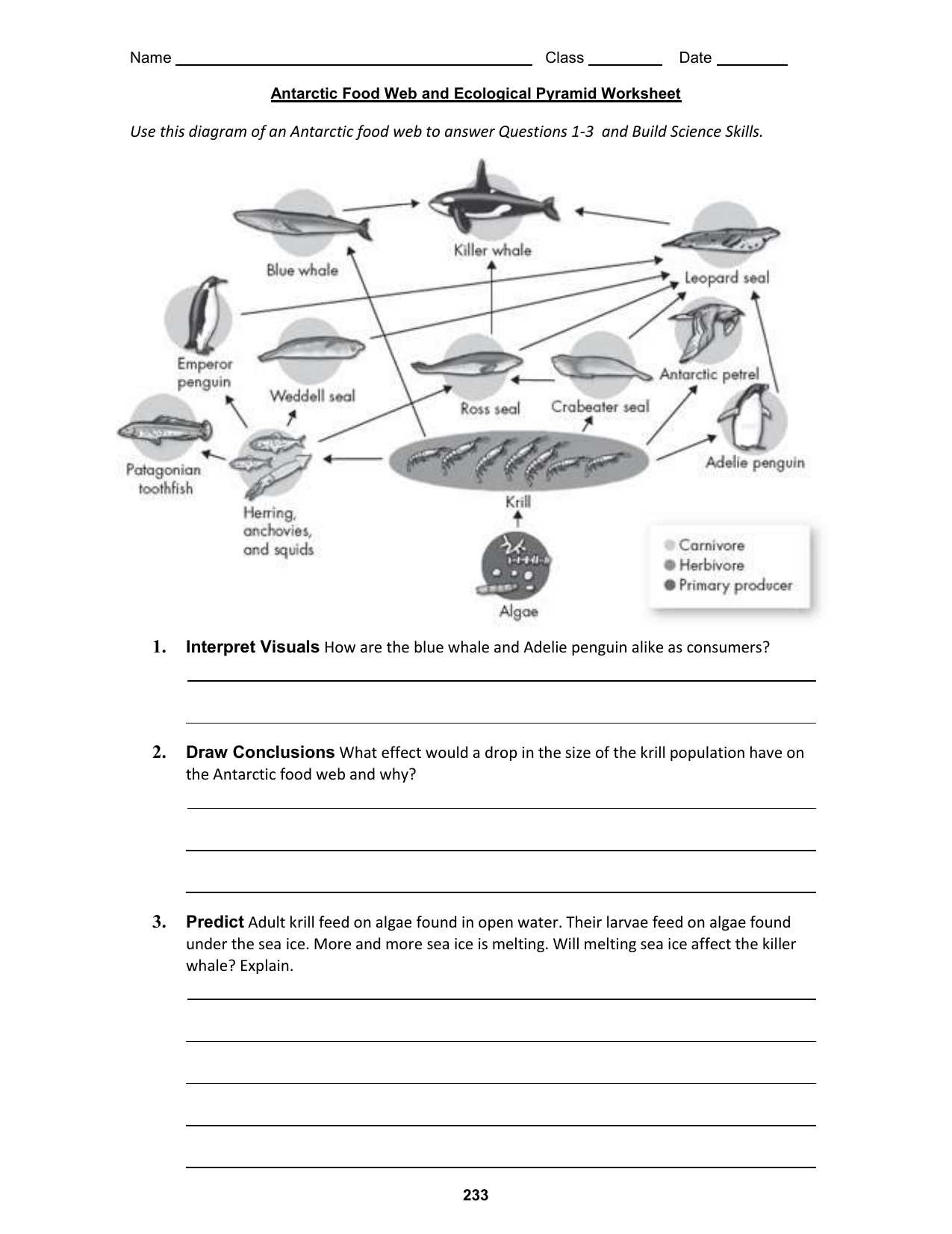 Food Web Worksheet Answers Also Ecological Pyramids Worksheet Answers Image Collections Worksheet