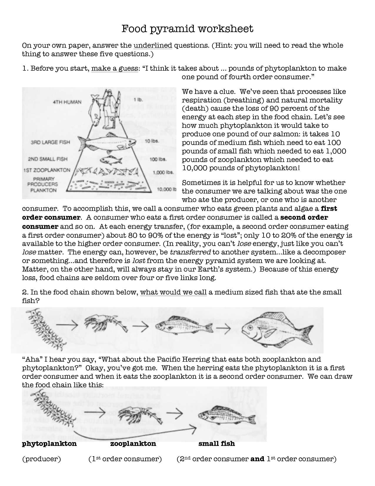 Food Web Worksheet Answers together with attractive Food Web Worksheet Th Grade Science Worksheets Energy