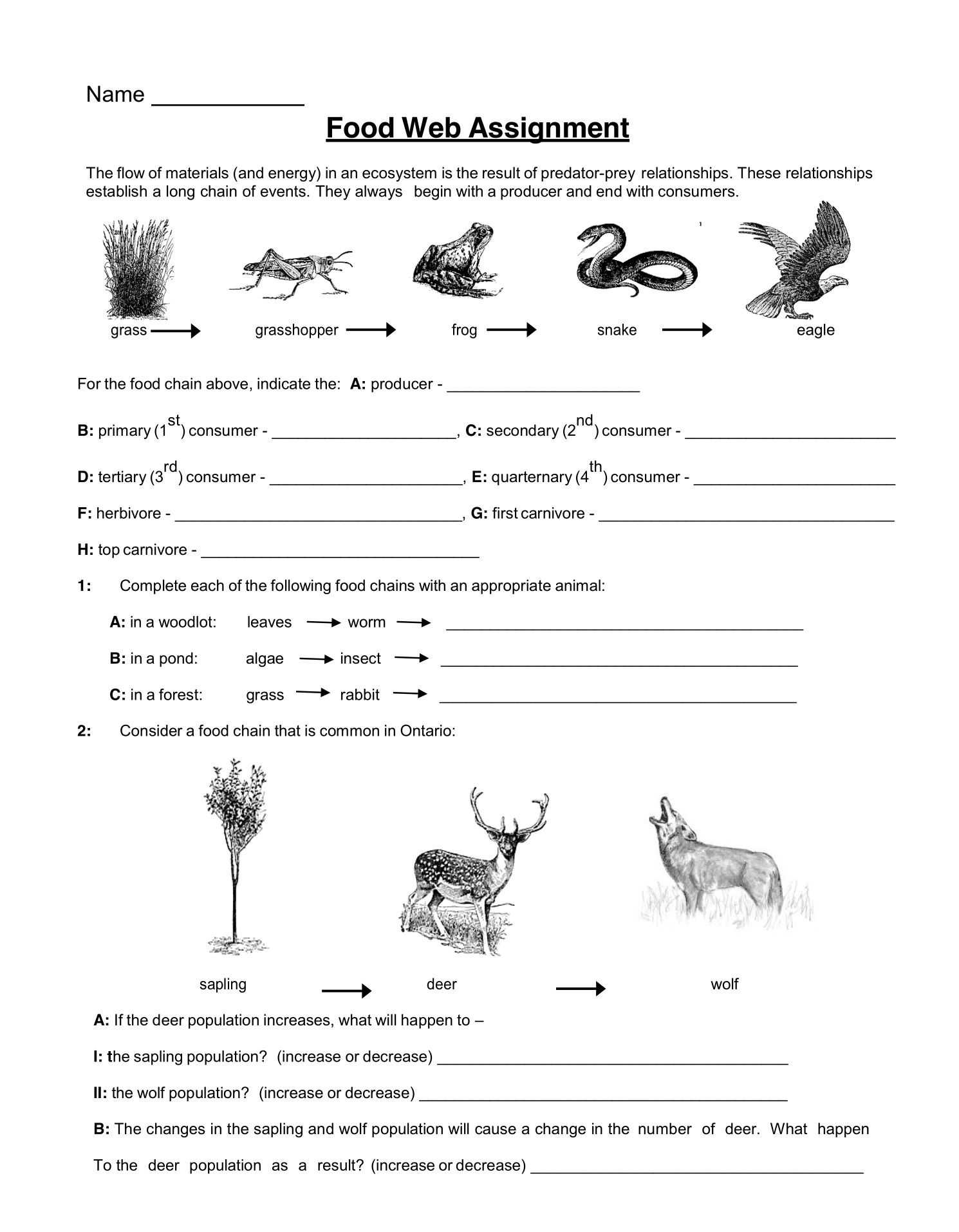 Food Web Worksheet Answers with Food Sustainability Worksheet Refrence Food Web assignment Worksheet