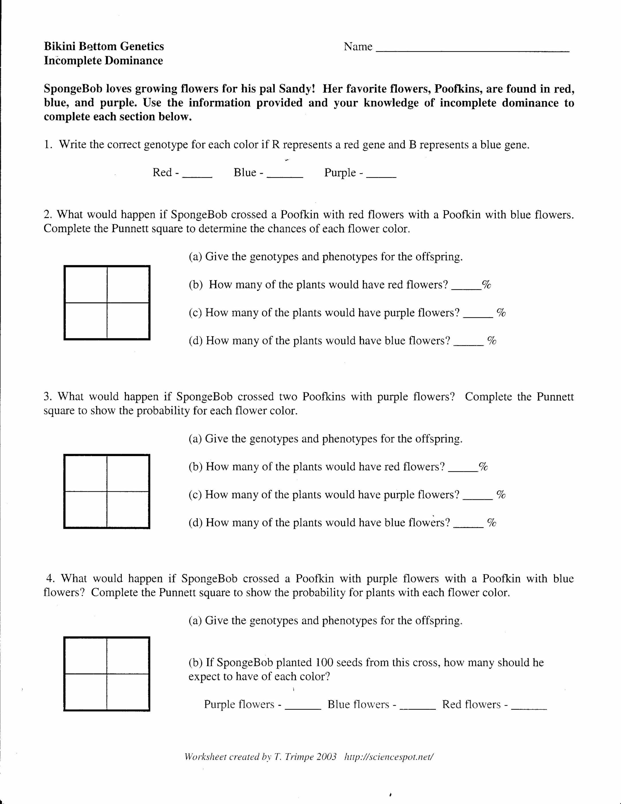 Gene Mutations Worksheet Answer Key and Worksheet In Plete and Codominance Worksheet Picture