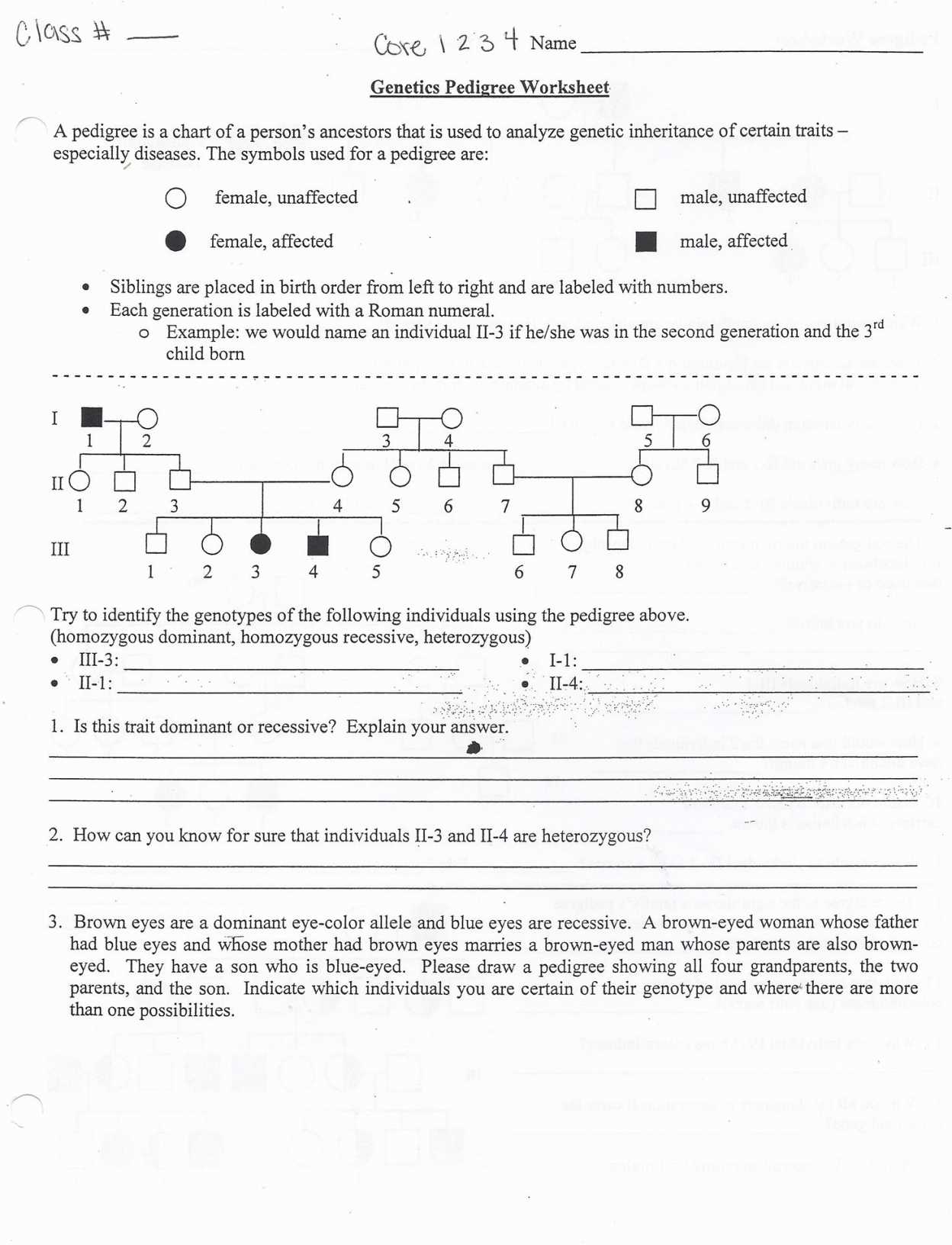Genetics Practice Problems Worksheet Key or Worksheet Genetics Pedigree Worksheet Concept Pedigree Practice
