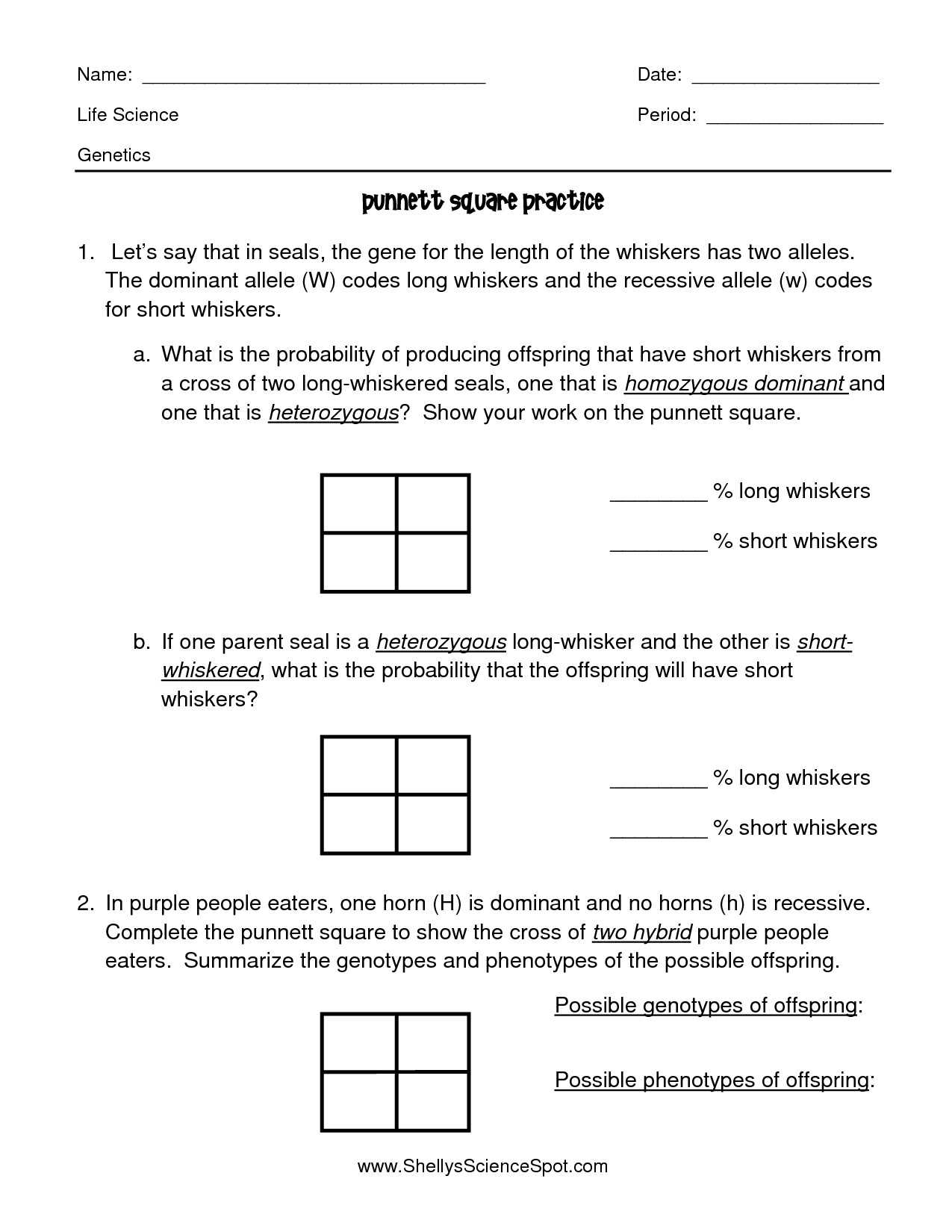 Genetics Practice Problems Worksheet Key together with Genetics Worksheet Answer Key Awesome Blood Type and Inheritance