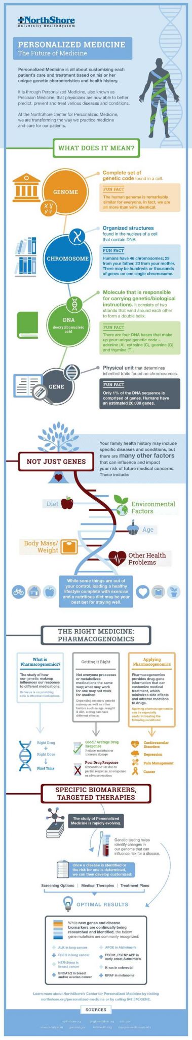 Introduction to Genetics Worksheet and 49 Best Cology & Genetics Images On Pinterest