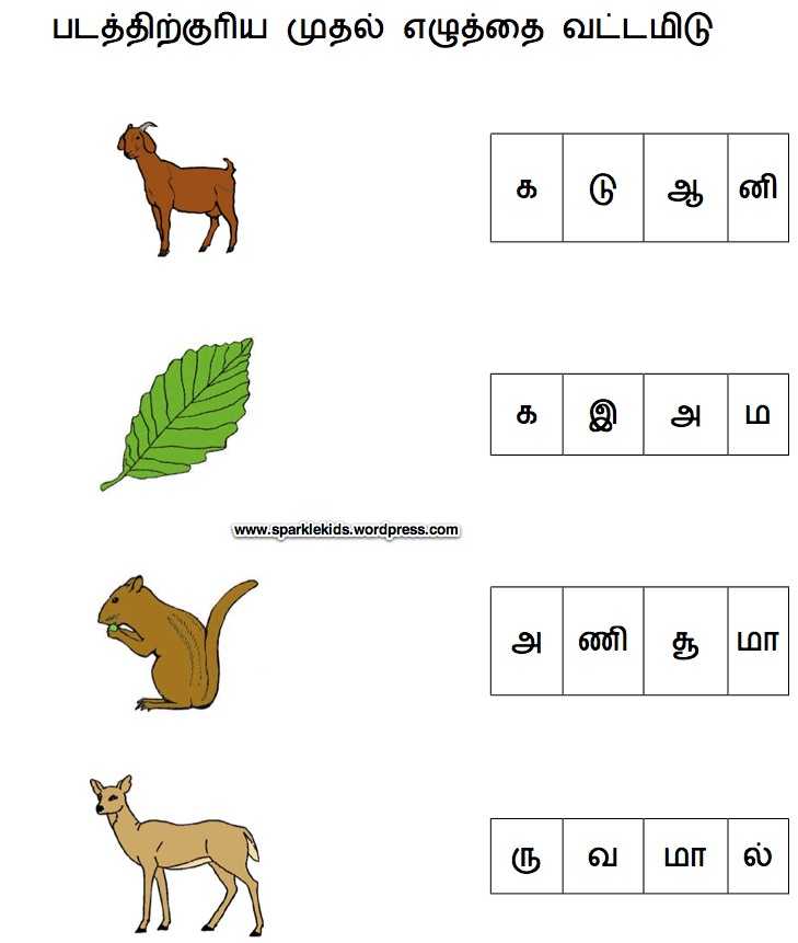 Kindergarten Word Worksheets as Well as Sample Tamil Worksheets