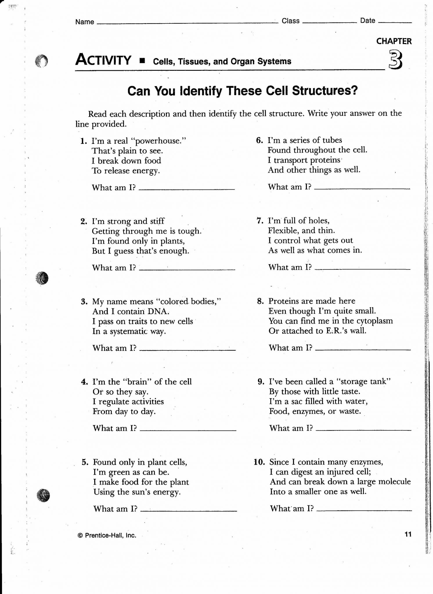 Looking Inside Cells Worksheet Answers or Cell Transport Review Worksheet 502 Best Cells Cells Cells