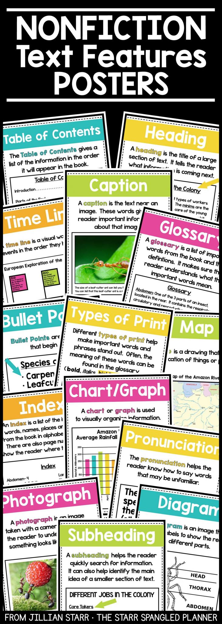 Nonfiction Text Features Worksheet with Nonfiction Text Features Posters & Activities