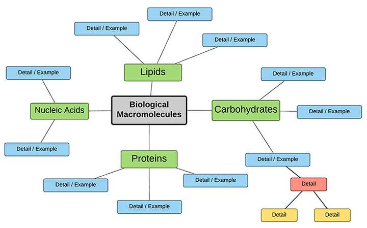 Nucleic Acids Worksheet and Create A Concept Map Of Biomolecules
