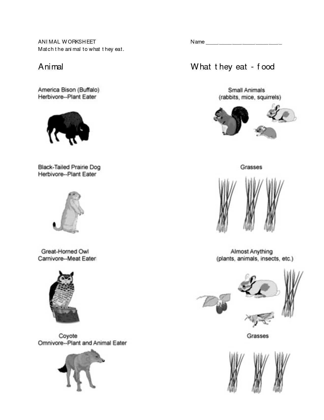 Parts Of A Flower Worksheet Also Free Worksheets Library Download and Print Worksheets