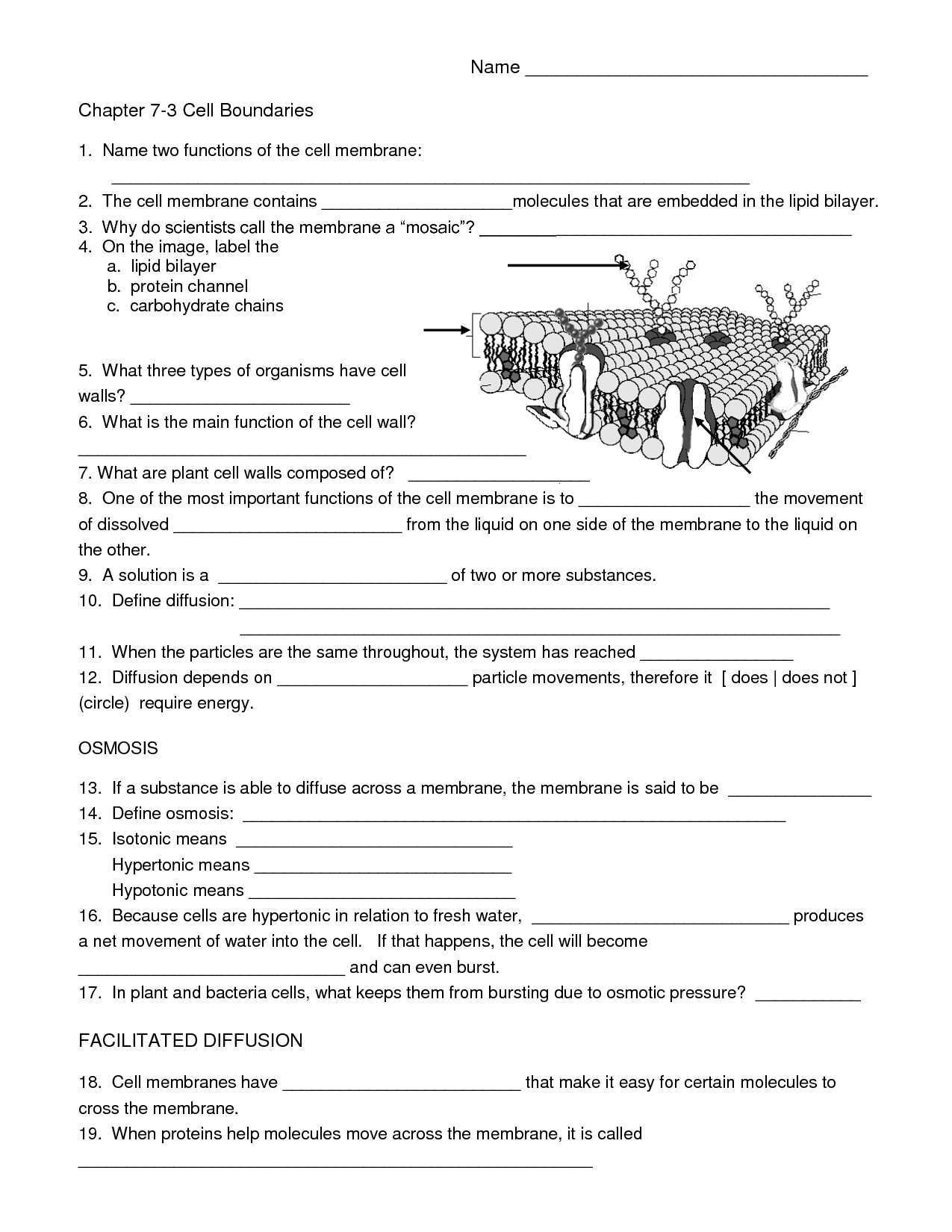 Parts Of A Flower Worksheet and Free Worksheets Library Download and Print Worksheets