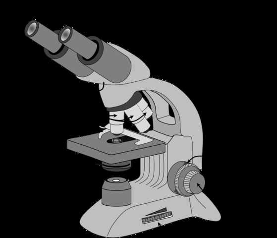 Parts Of A Microscope Worksheet and File Parts Of A Microscope English Wikimedia Mons