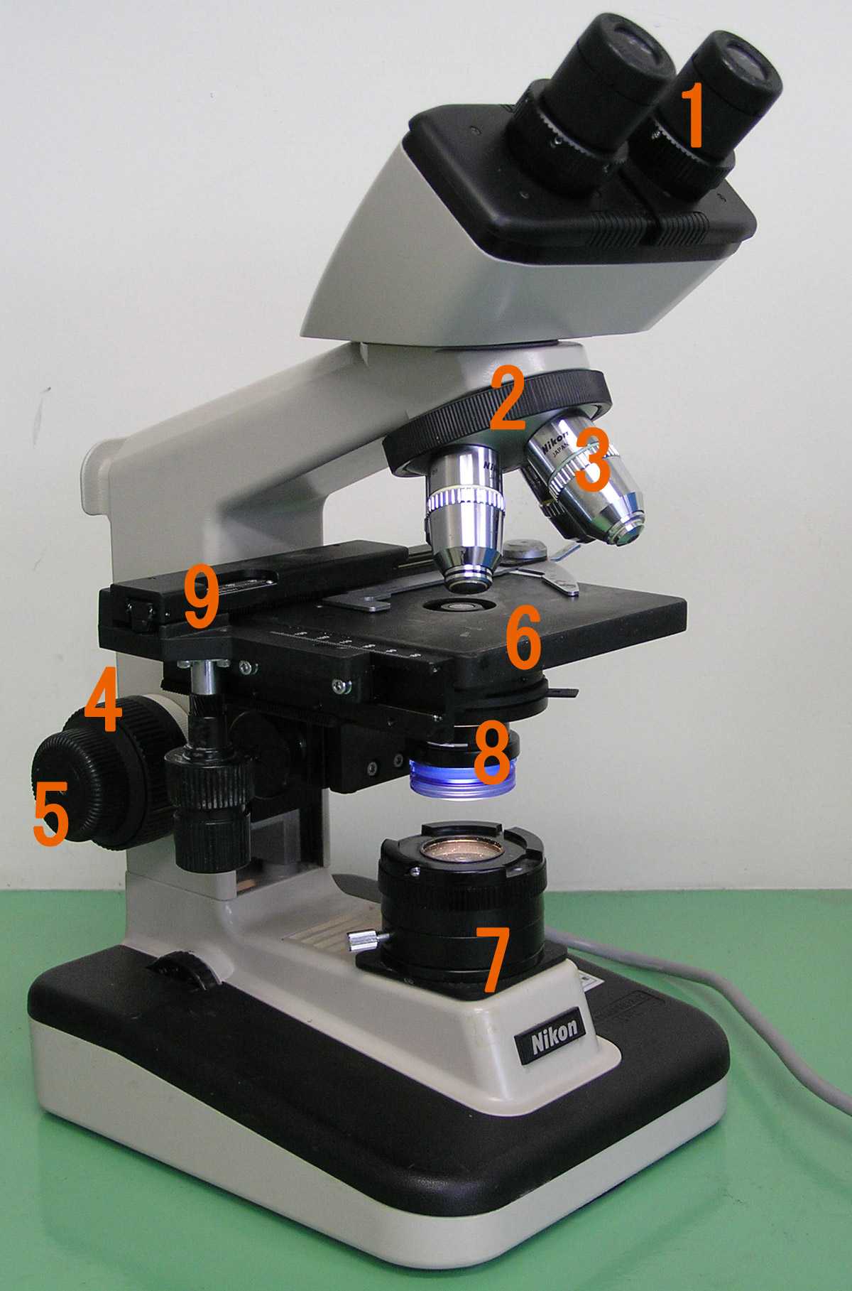 Parts Of A Microscope Worksheet or File Optical Microscope Nikon Alphaphot Wikimedia