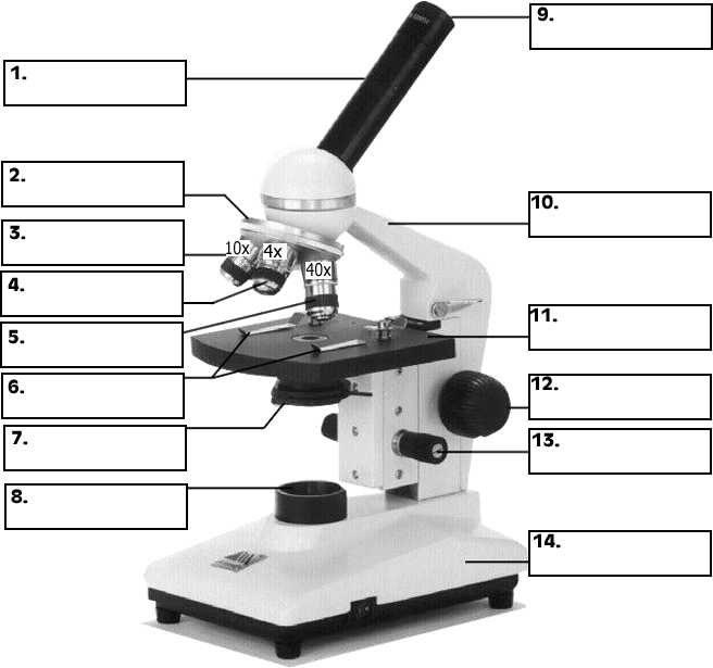 Parts Of A Microscope Worksheet or Microscope Labeling