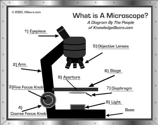 Parts Of A Microscope Worksheet together with Microscope Interactives