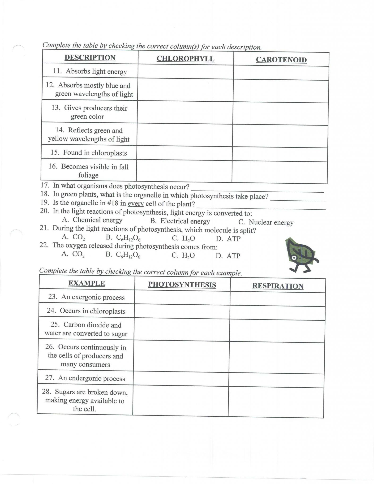 Photosynthesis and Cellular Respiration Worksheet Answers and Synthesis and Cellular Respiration Worksheet High School Unique