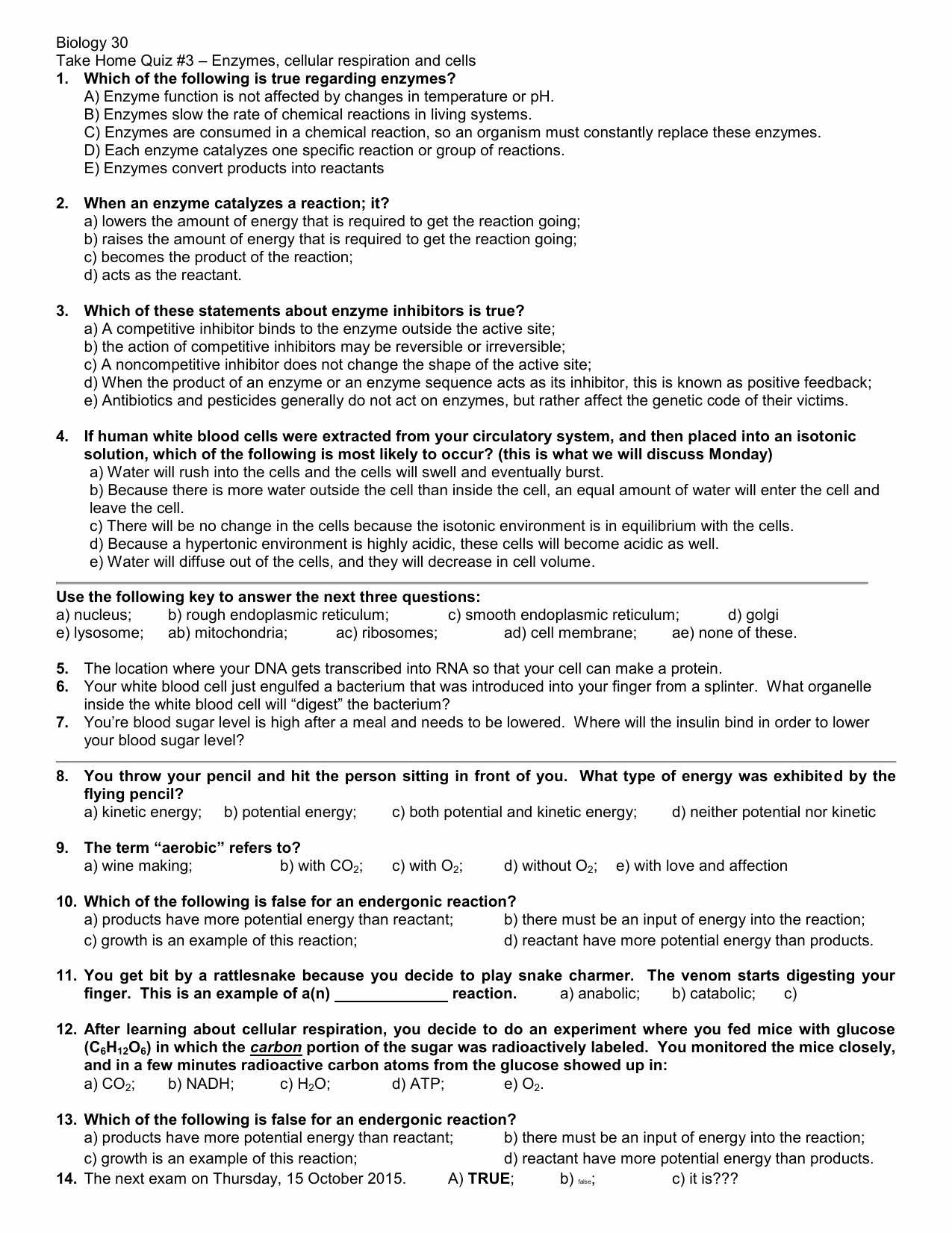 Photosynthesis and Cellular Respiration Worksheet Answers as Well as Potential and Kinetic Energy Roller Coaster Worksheet Unique Kinetic