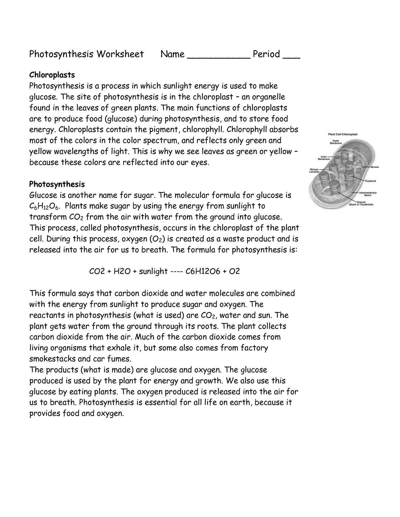 Photosynthesis and Cellular Respiration Worksheet Answers together with Worksheet Synthesis Making Energy Worksheet Answers Carlos