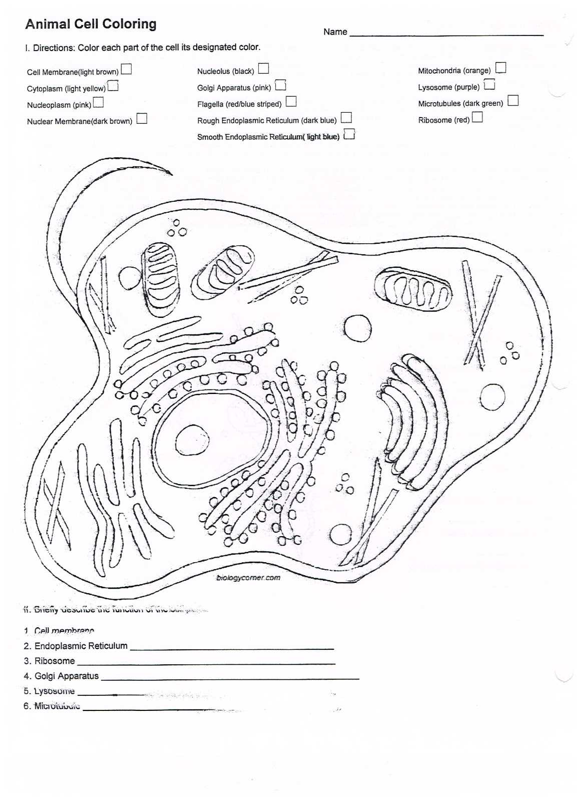 Plant and Animal Cell Coloring Worksheets or Free Coloring Pages Of Plant Cell Worksheet