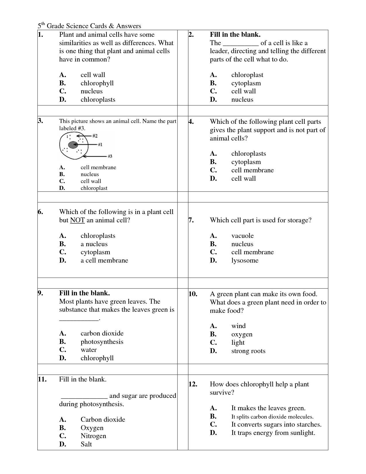 Plant Cell Worksheet Answers and Excel Science Worksheets for 5th Grade Free Science Worksheets for