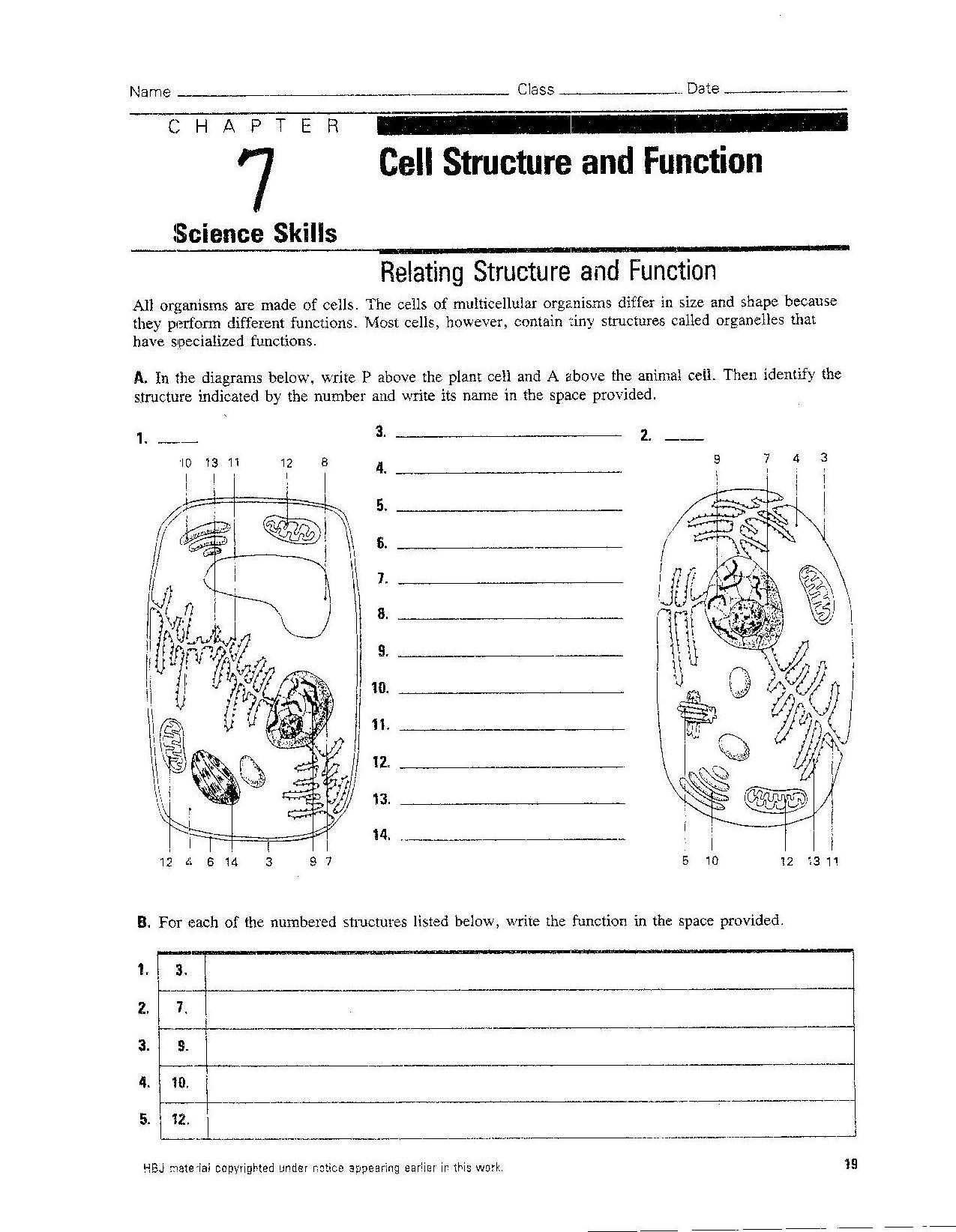 Plant Cell Worksheet Answers and the Cell Worksheet 342dfc312a9b Battk