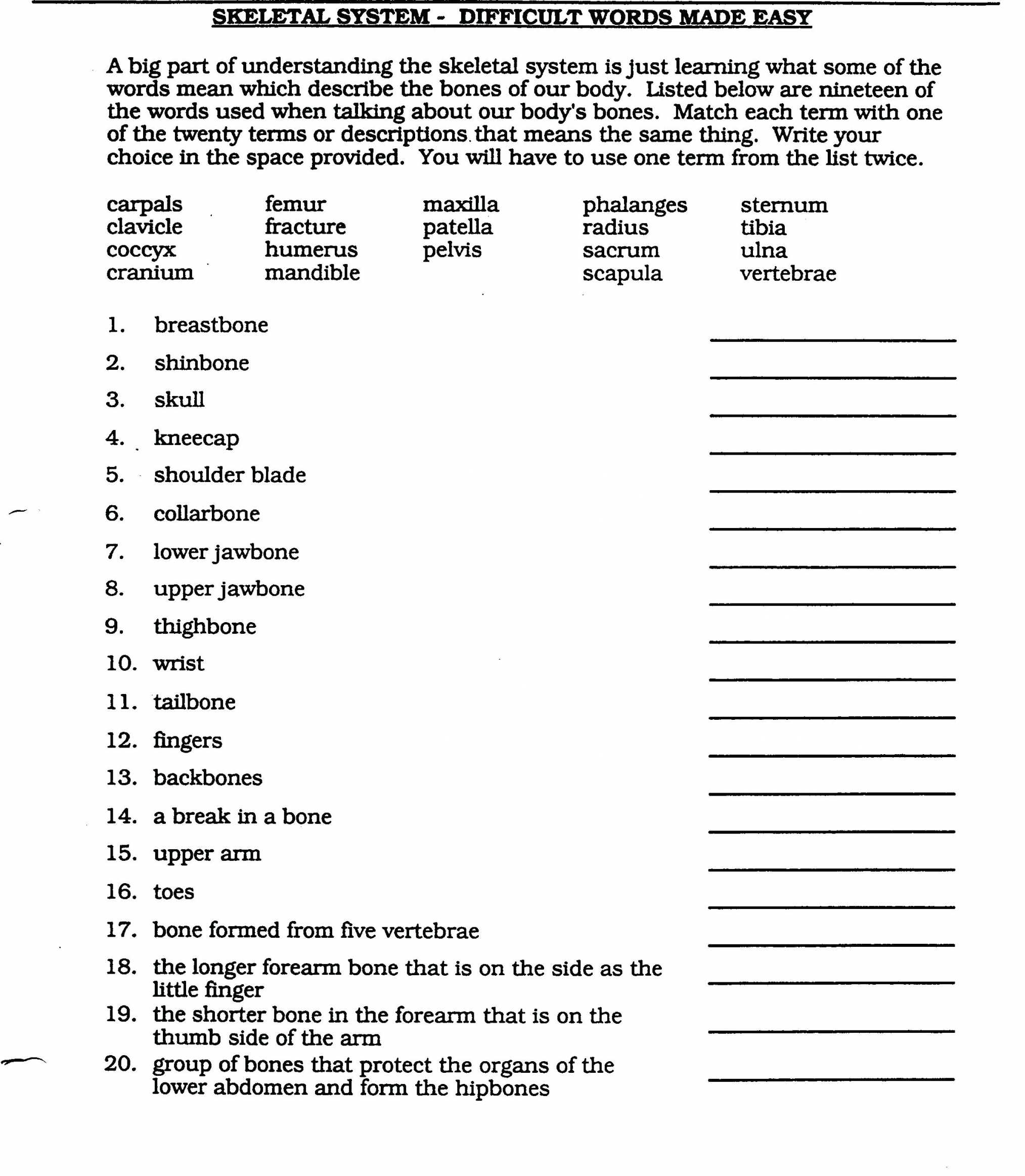 Prefix and Suffix Worksheets Pdf Also Worksheet Medical Terminology Prefixes Worksheet Design Groß