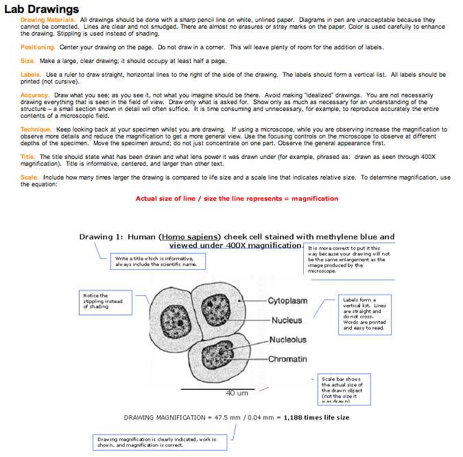 Prokaryotic and Eukaryotic Cells Worksheet Answer Key Flinn Scientific or topic 1 2 Ultra Structure Of Cells Amazing World Of