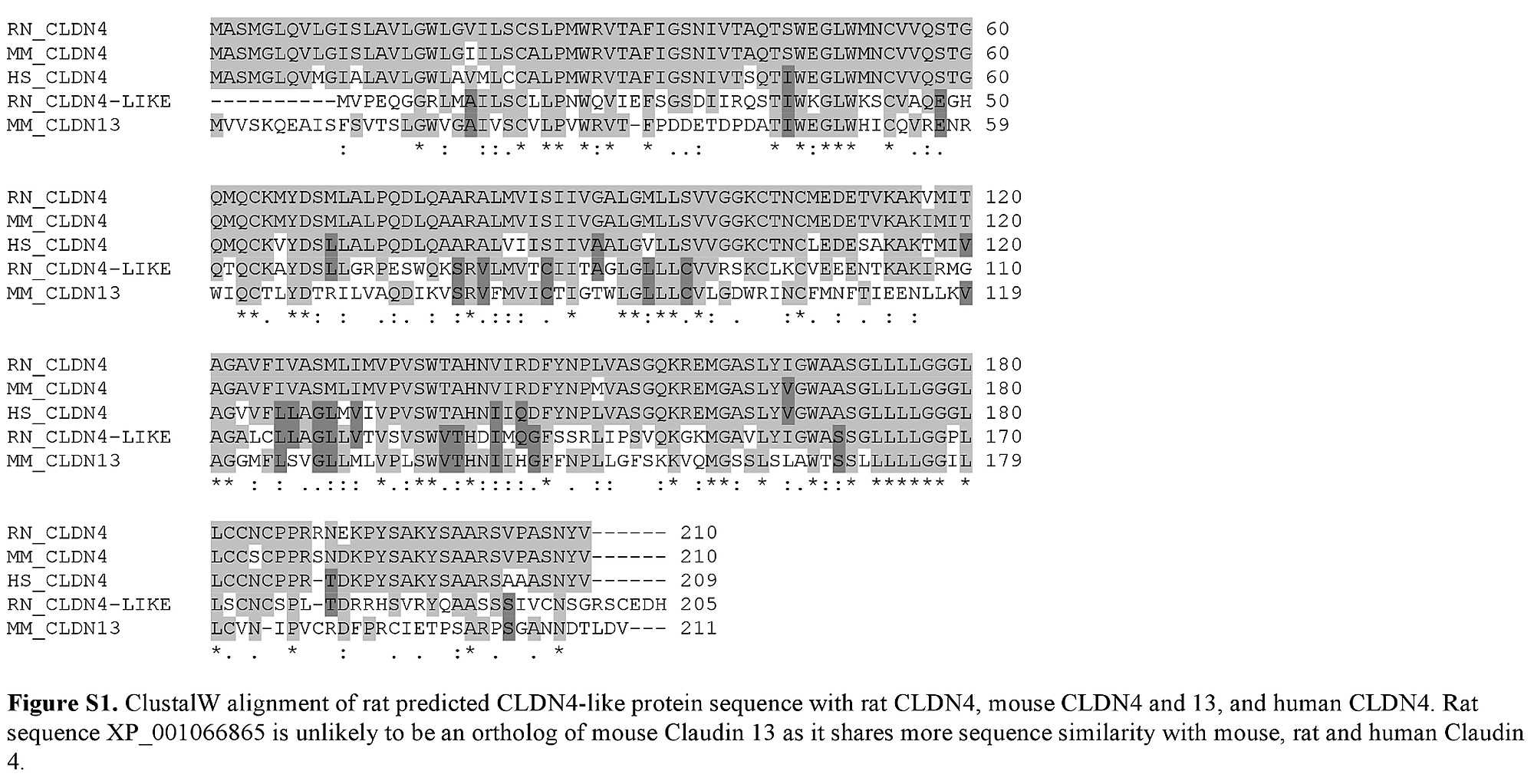 Signal Transduction Pathways Worksheet together with Claudin 13 A Member Of the Claudin Family Regulated In Mouse Stress