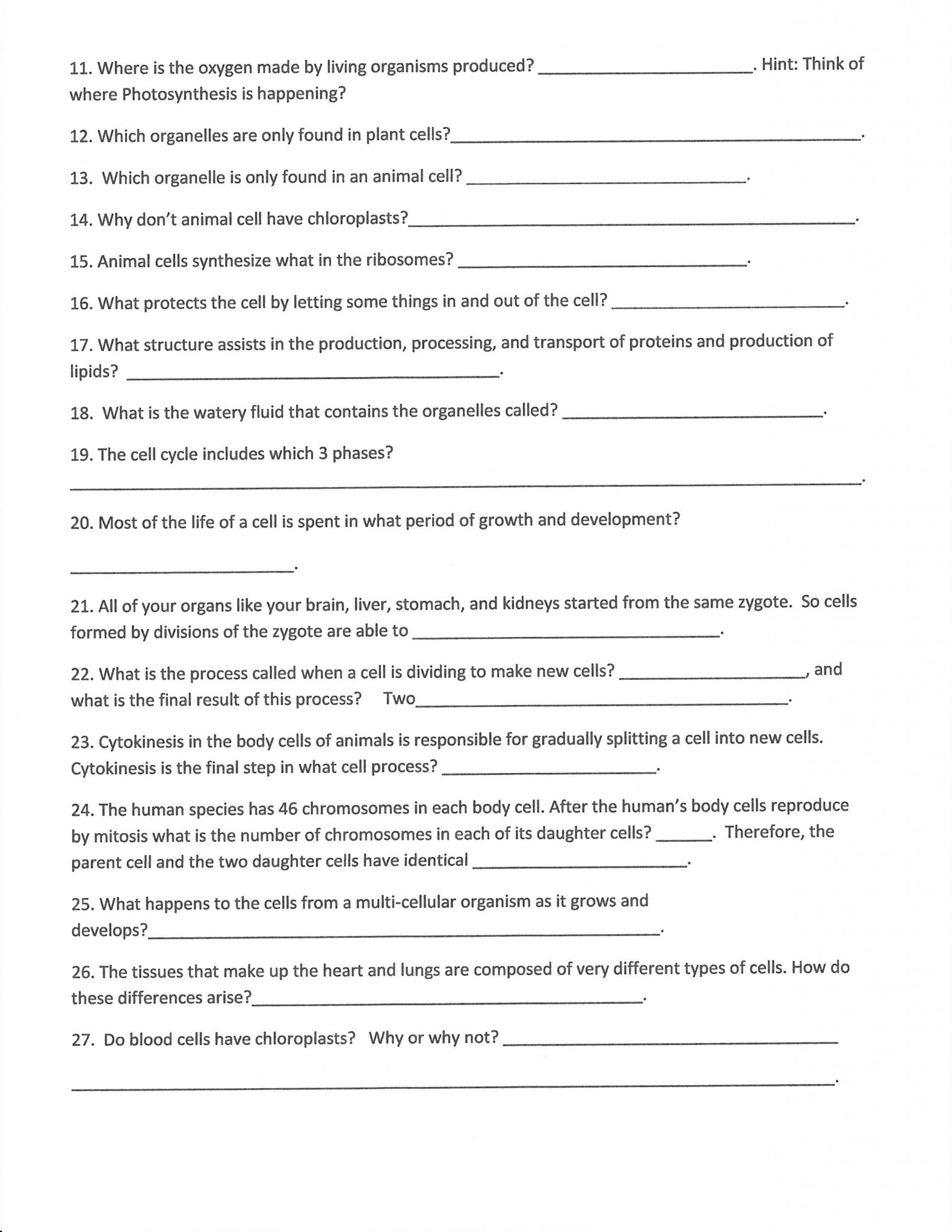 Simple and Compound Interest Practice Worksheet Answer Key as Well as Fbplus Worksheet Names List