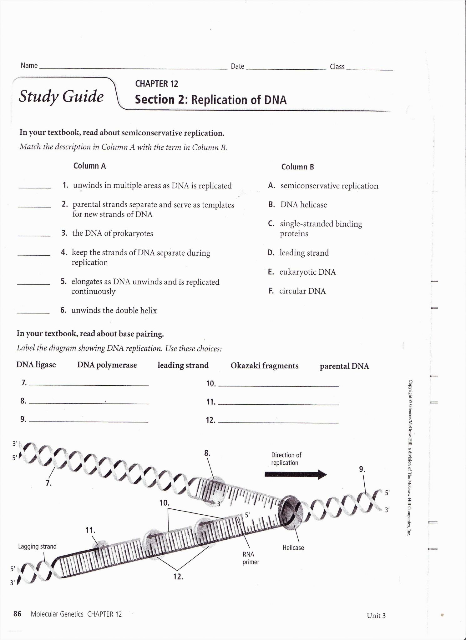 Transcription Worksheet Answer Key and Middle School Dna Worksheet Inspirationa Dna Rna and Snorks