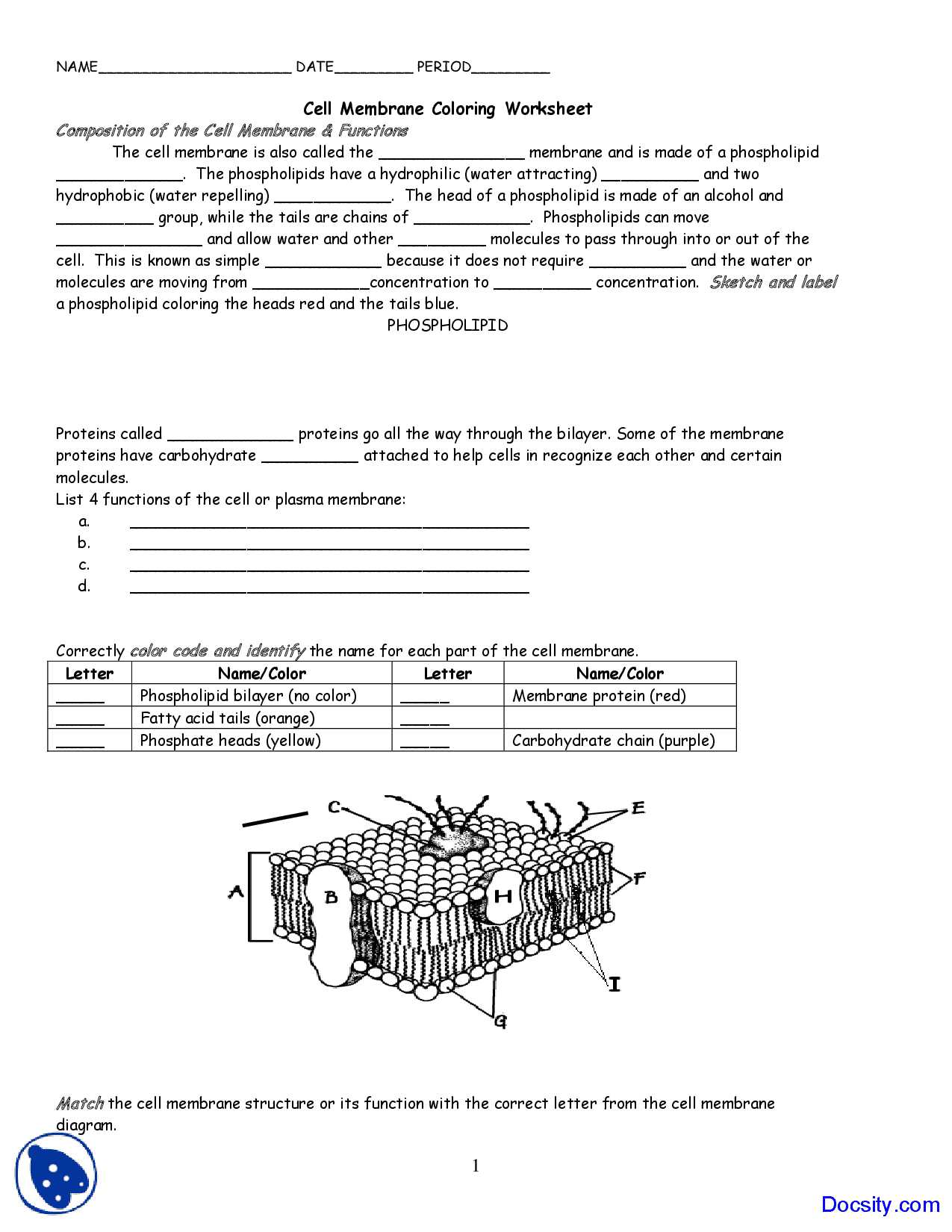 Transport In Cells Worksheet Answers as Well as with Cell Membrane Coloring Worksheet Coloring Pages Answers