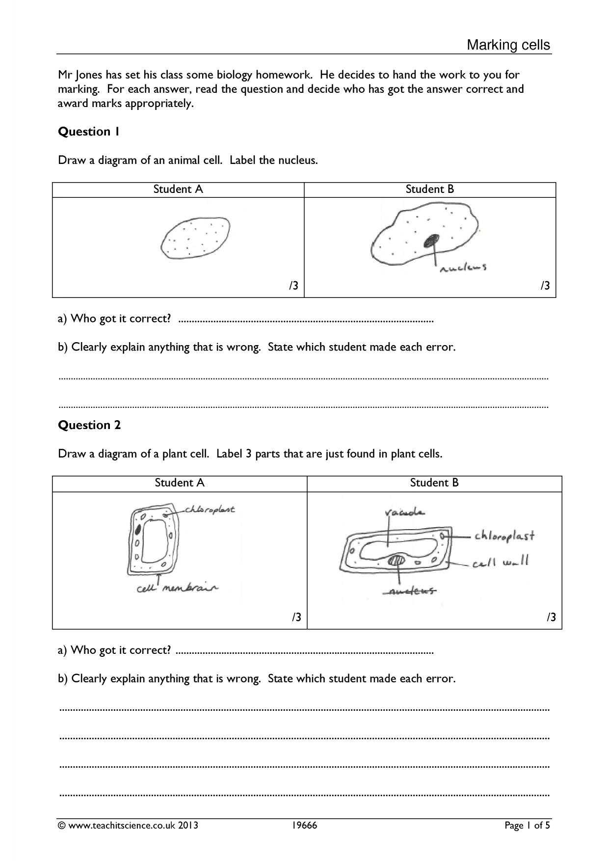 Transport In Cells Worksheet Answers with Ks4 Cells organs and Systems Ks4